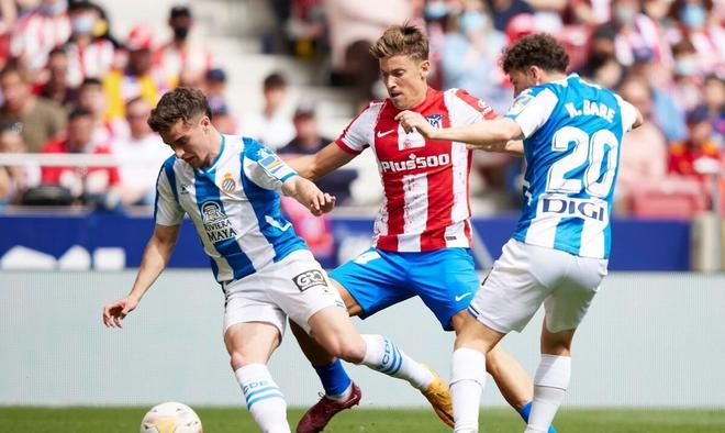 的最佳肯定 的最佳肯定