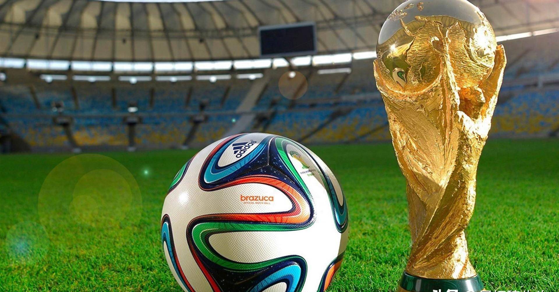 伤病曲线往 伤病曲线往